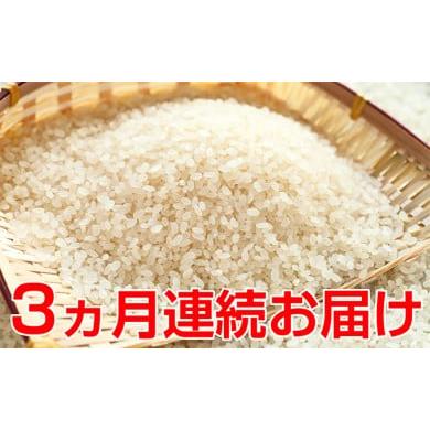 ふるさと納税 福井県 おおい町 新米![3ヶ月連続]特別栽培米コシヒカリ 5kg