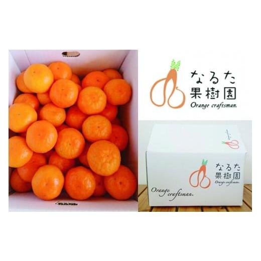 ふるさと納税 果物類 みかん 高知県 宿毛市 成田果樹園の温州みかん5kg