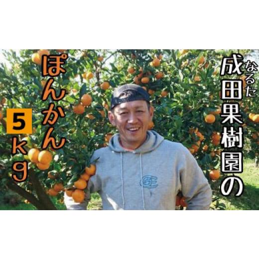 ふるさと納税 みかん・柑橘類 高知県 宿毛市 成田果樹園のぽんかん5kg家庭用