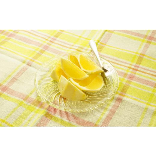 ふるさと納税 みかん・柑橘類 高知県 宿毛市 小夏 5kg 贈答用 柑橘 果物 フルーツ 高知県産 旬 春 初夏 贈り物 ギフト 甘酸っぱい 果汁 爽やか 5キロ 四国 特…