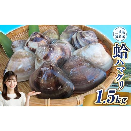 ふるさと納税 しじみ・あさり・蛤 蛤(はまぐり) 三重県 桑名市 指定日必須 7月・8月発送不可 丸元水産 桑名産蛤 (ハマグリ) 1.5kg はまぐり ハマグリ 蛤 …