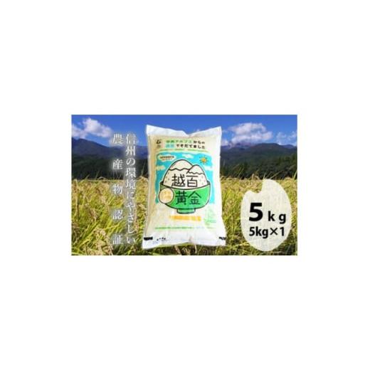 ふるさと納税 米 長野県 飯島町 長野県産 越百黄金米(精米)5kg 1575178