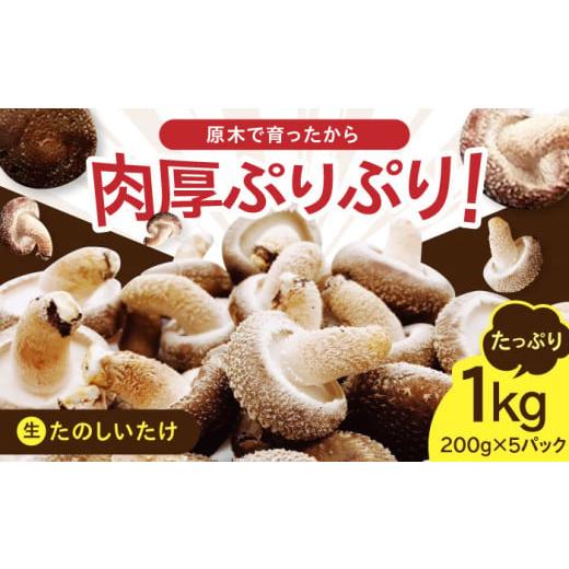 ふるさと納税 野菜類 きのこ 北海道 厚真町 原木 生しいたけ 1kg(200g×5パック)[厚真町] 株式会社きたい 生 しいたけ 椎茸 きのこ キノコ 小分け 北海道 …