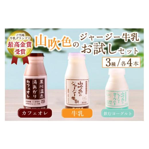 ふるさと納税 飲料類 牛乳 熊本県 南小国町 山吹色のジャージー牛乳 人気3種セット 3種 12本 ジャージー牛乳 飲むヨーグルト 牛乳 200ml 150ml カフェオレ コ…