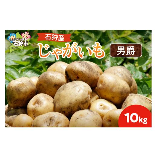 ふるさと納税 野菜類 じゃがいも 北海道 石狩市 石狩産 じゃがいも(男爵) 10kg 男爵 10kg 寄附金額:12,000円
