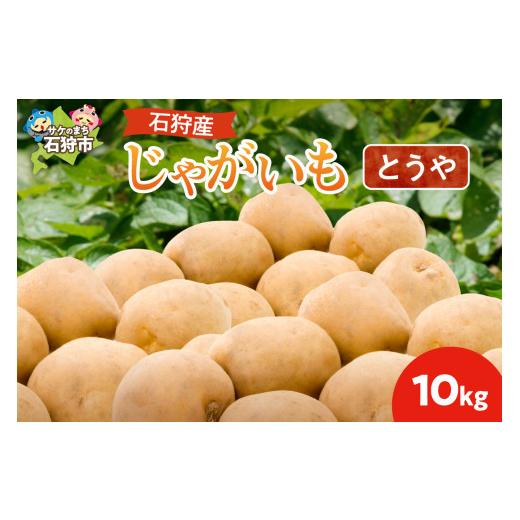 ふるさと納税 野菜類 じゃがいも 北海道 石狩市 石狩産じゃがいも(とうや) 10kg とうや 10kg 寄附金額:12,000円