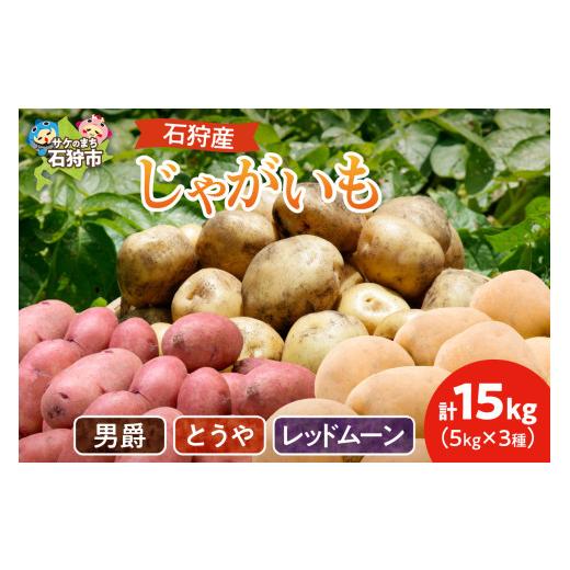 ふるさと納税 野菜類 じゃがいも 北海道 石狩市 石狩産じゃがいも3種セット(男爵・とうや・レッドムーン) 15kg 3種混合 15kg 寄附金額:16,000円