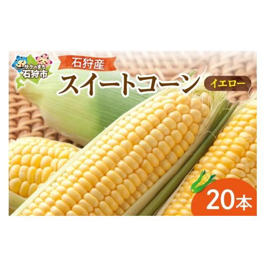 ふるさと納税 とうもろこし 北海道 石狩市 石狩産スイートコーン(色:イエロー)20本 20本 寄附金額:20,000円