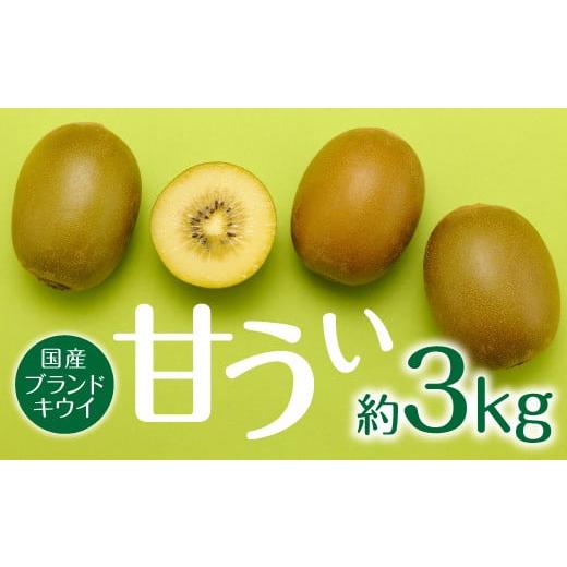 50s レア 囚人 刑務所 不良 アルカトラズ デカンタ ビンテージ 8ボール