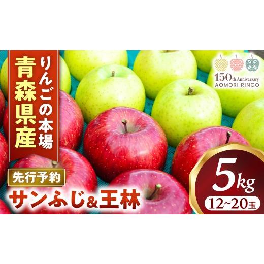 ふるさと納税 りんご 青森県 三戸町 りんご サンふじ&王林 セット 約5kg(計12〜20玉) 2026年産・先行予約 2026年11月下旬〜12月下旬頃まで発送予定 りんご …
