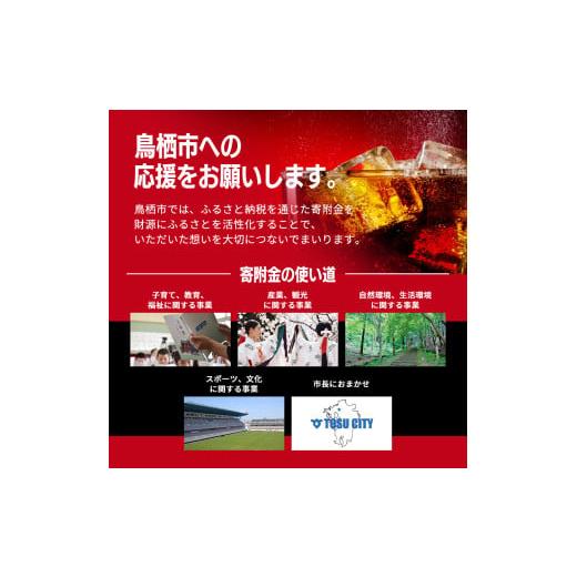 ふるさと納税 炭酸飲料 佐賀県 鳥栖市 コカ・コーラ 500ml PET 1ケース 24本 ペットボトル コーラ 飲料_7