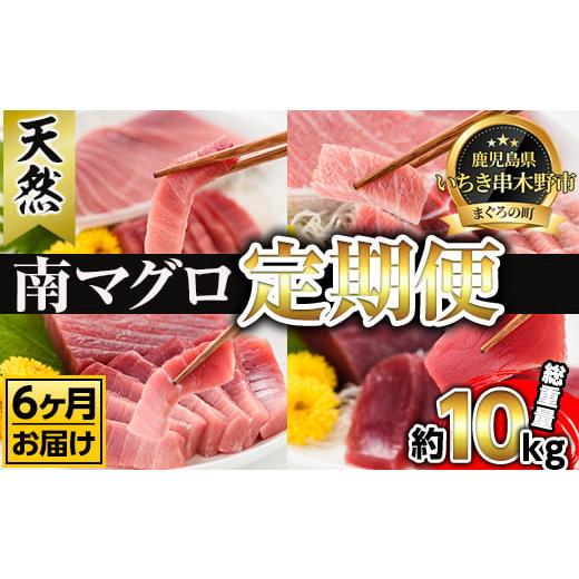 ふるさと納税 鹿児島県 いちき串木野市 S-021H 南マグロ大トロ、中トロ、赤身を半年間毎月送付 新洋水産(有)