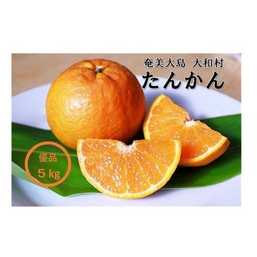 ふるさと納税 みかん・柑橘類 鹿児島県 大和村 みかんの王様 たんかん 奄美大島 大和村産 優品5kg Lサイズまたは2?サイズを発送いたします。サイズの指定…