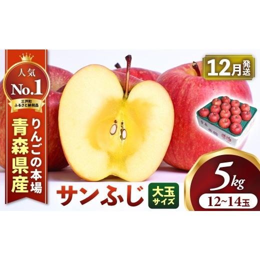 ふるさと納税 りんご 青森県 三戸町 2026年産・先行予約 2026年12月上旬〜12月中旬頃発送予定 りんご サンふじ 約5kg(12〜14玉・大玉サイズ) 青森県三戸町…