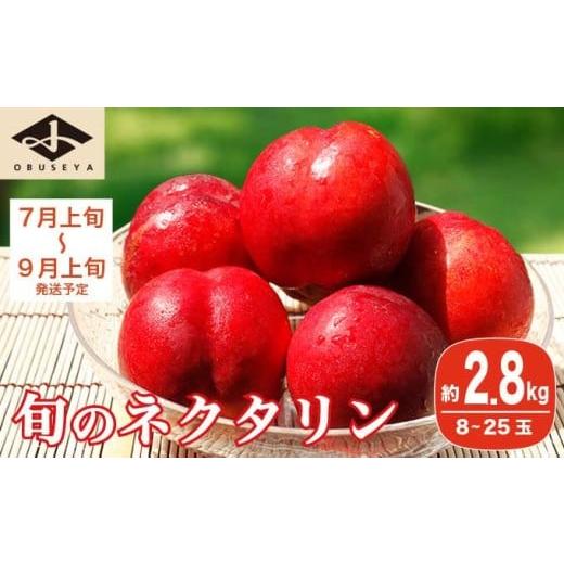 ふるさと納税 もも 長野県 小布施町 旬のネクタリン 約2.8kg 8〜25玉 [小布施屋] 果物 フルーツ 桃 もも 長野県産 小布施 冷蔵便 クール便 産地直送 数量限…