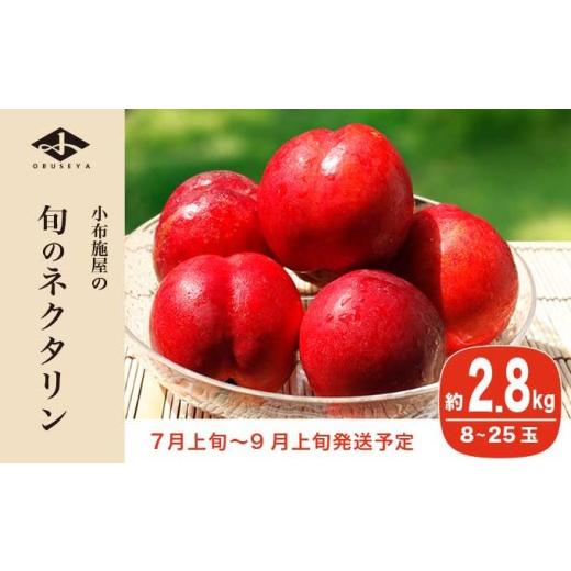 ふるさと納税 もも 長野県 小布施町 旬のネクタリン 約2.8kg 8〜25玉 ［小布施屋］ 果物 フルーツ 桃 もも 長野県産 小布施 冷蔵便 クール便 産地直送 数量限…の画像