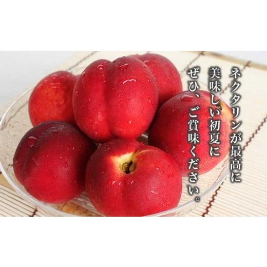ふるさと納税 もも 長野県 小布施町 旬のネクタリン 約2.8kg 8〜25玉 ［小布施屋］ 果物 フルーツ 桃 もも 長野県産 小布施 冷蔵便 クール便 産地直送 数量限…の画像