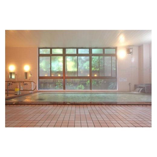 ふるさと納税 温泉・サウナ・スパ利用券 埼玉県 ときがわ町 ときがわ町の美肌の名湯「昭和レトロな温泉銭湯　玉川温泉」ペア招待券　A011_2