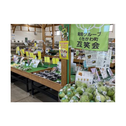 ふるさと納税 セット・詰合せ 埼玉県 ときがわ町 里山おすすめセット　A004_2
