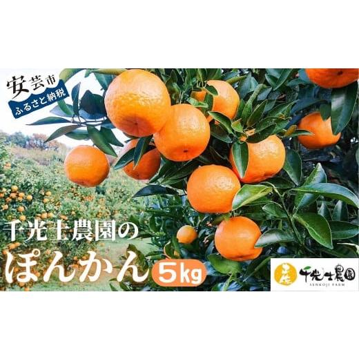 ふるさと納税 みかん・柑橘類 高知県 安芸市 千光士農園のポンカン 5kg 令和8年1月より発送開始 新鮮 みかん mikan 密柑 ぽんかん 甘味 甘い 先行予約 果物 く…