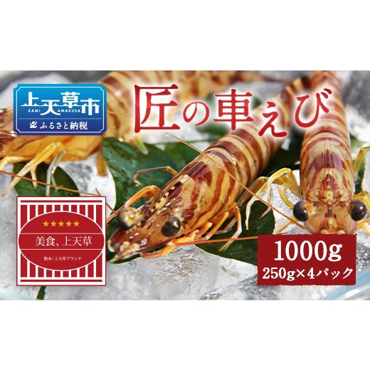 ふるさと納税 エビ 車エビ 熊本県 上天草市 上天草ブランド認証品 匠の車えび 活き締め急速冷凍 250g×4パック(28尾〜40尾)