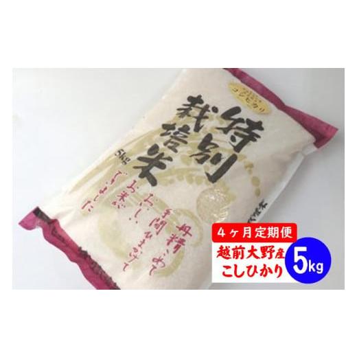 ふるさと納税 福井県 大野市 [令和5年産][4ヶ月定期便]福井県認証の特別栽培米 コシヒカリ 5kg×4回