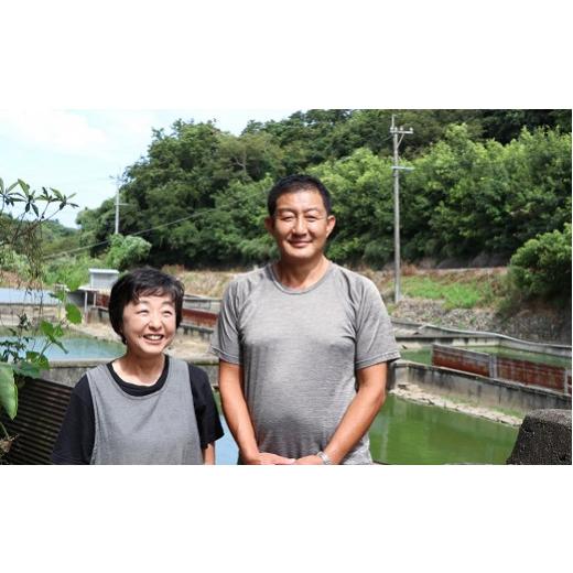 ふるさと納税 鍋セット 大分県 豊後高田市  すっぽん鍋（スッポン） 猪股さんのこだわりすっぽん鍋セットC | すっぽんなべ スッポン鍋 スッポンなべ すっぽん…_4