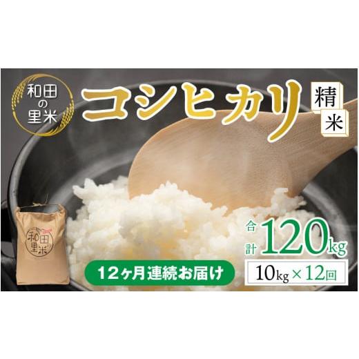 ふるさと納税 福井県 高浜町 【令和5年産】【12ヶ月定期便】和田の里米 コシヒカリ 白米(精米) 10kg×12回 計120kg｜furusatochoice｜02