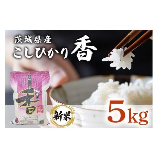 ふるさと納税 米 コシヒカリ 茨城県 茨城町 094 令和7年産 茨城県産 こしひかり香 5kg 石崎商店