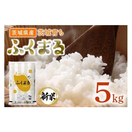 ふるさと納税 米 茨城県 茨城町 096 令和7年産 茨城県産 ふくまる 5kg 石崎商店