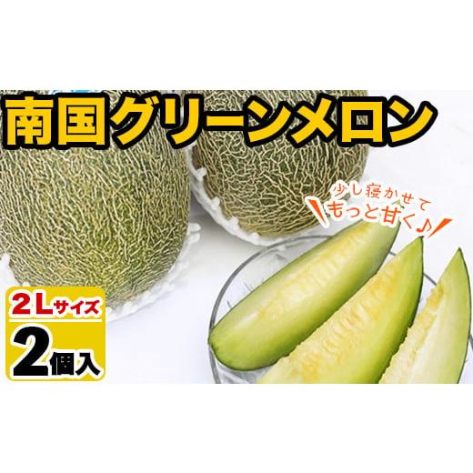ふるさと納税 メロン メロン青肉 鹿児島県 阿久根市 先行予約受付中 2026年6月以降順次発送予定 鹿児島県産 南国グリーンメロン(2Lサイズ×2個) メロン めろ…