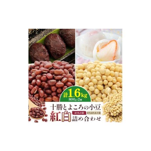 ふるさと納税 豆類 北海道 豊頃町 十勝とよころの小豆 紅白詰め合わせ えりも小豆 きたほたる小豆 800g×2種 山本農場[30日以内に出荷予定(土日祝除く)]北海…