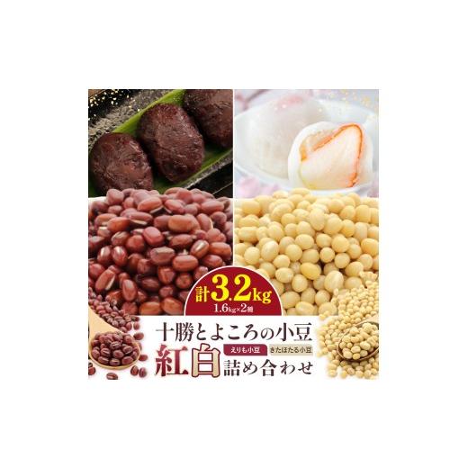 ふるさと納税 豆類 北海道 豊頃町 十勝とよころの小豆 紅白詰め合わせ えりも小豆 きたほたる小豆 1.6kg×2種 山本農場[30日以内に出荷予定(土日祝除く)]北…