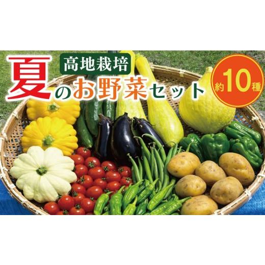 ふるさと納税 セット・詰合せ 徳島県 吉野川市 野菜 夏野菜 セット 10種 程度 詰め合わせ [2026年6月中旬から順次発送予定] 高地野菜 栽培期間中 農薬不使用…