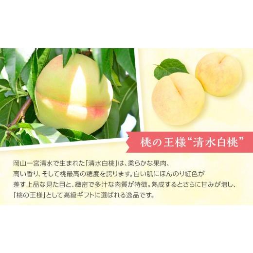 ふるさと納税 もも 岡山県 - 岡山県産 清水白桃 缶詰 ２缶 (425g×2) フルーツ缶 缶詰 桃 もも 清水白桃 白桃 果物 くだもの 高級缶詰 セット 詰め合わせ デ…の画像