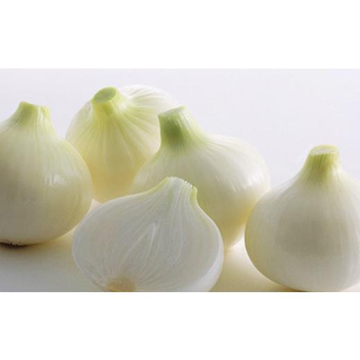 ふるさと納税 野菜類 玉ねぎ 佐賀県 -  期間限定 佐賀県産 しろいし玉ねぎ10kg ／ 佐賀県 ／佐賀県農業協同組合 さが風土館季楽直販本店 41AABE108の画像