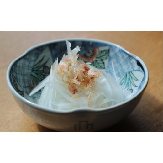 ふるさと納税 野菜類 玉ねぎ 佐賀県 -  期間限定 佐賀県産 しろいし玉ねぎ10kg ／ 佐賀県 ／佐賀県農業協同組合 さが風土館季楽直販本店 41AABE108の画像
