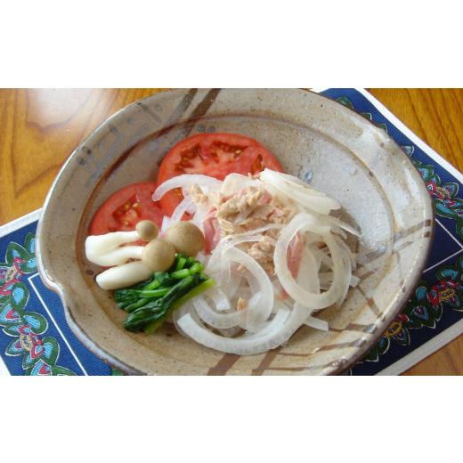 ふるさと納税 野菜類 玉ねぎ 佐賀県 -  期間限定 佐賀県産 しろいし玉ねぎ10kg ／ 佐賀県 ／佐賀県農業協同組合 さが風土館季楽直販本店 41AABE108の画像