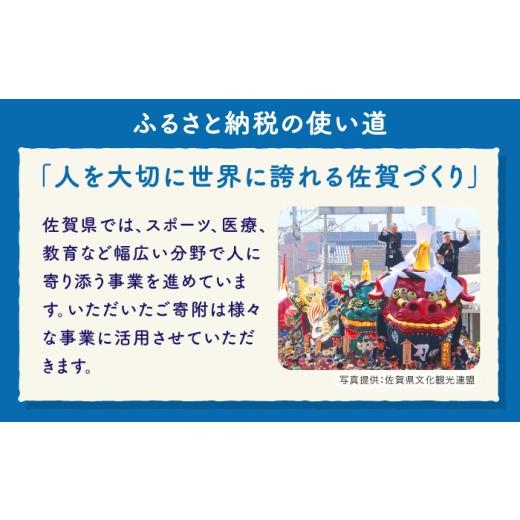 ふるさと納税 野菜類 玉ねぎ 佐賀県 -  期間限定 佐賀県産 しろいし玉ねぎ10kg ／ 佐賀県 ／佐賀県農業協同組合 さが風土館季楽直販本店 41AABE108の画像