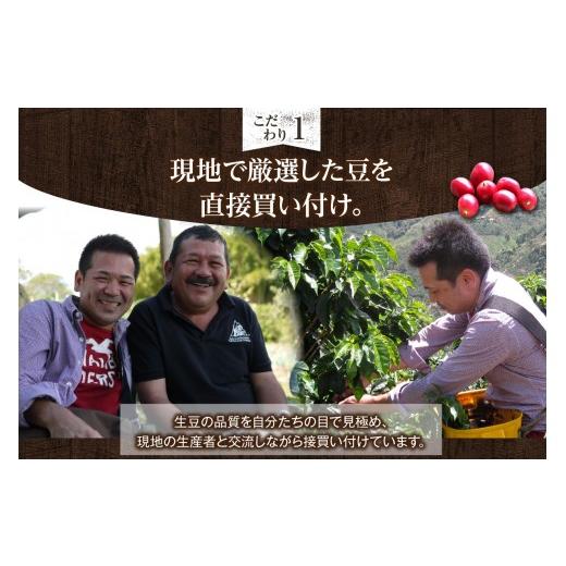 ふるさと納税 コーヒー コーヒー豆 愛知県 高浜市 世界のスペシャルティコーヒー定期便(5ヶ月間) 豆_08-061-1-1 豆_4
