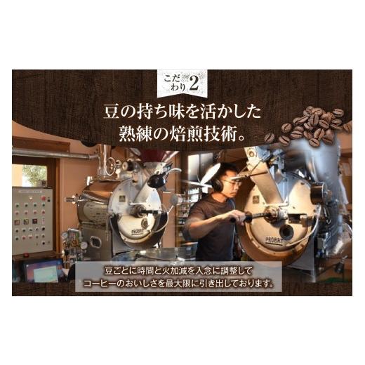 ふるさと納税 コーヒー コーヒー豆 愛知県 高浜市 世界のスペシャルティコーヒー定期便(5ヶ月間) 豆_08-061-1-1 豆_5