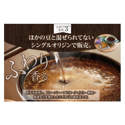 ふるさと納税 コーヒー コーヒー豆 愛知県 高浜市 世界のスペシャルティコーヒー定期便(5ヶ月間) 豆_08-061-1-1 豆_6