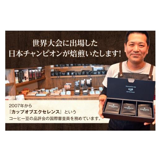 ふるさと納税 コーヒー コーヒー豆 愛知県 高浜市 世界のスペシャルティコーヒー定期便(5ヶ月間) 中挽き_08-061-1-3 中挽き_3