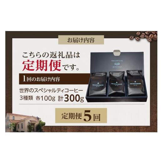 ふるさと納税 コーヒー コーヒー豆 愛知県 高浜市 世界のスペシャルティコーヒー定期便(5ヶ月間) 中挽き_08-061-1-3 中挽き_7