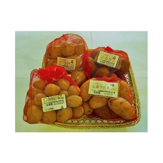 ふるさと納税 野菜類 じゃがいも 北海道 滝上町 先行予約 2026年10月以降順次発送 北海道滝上町産じゃがいも4種セット(計4kg)国産 ジャガイモ 産地直送