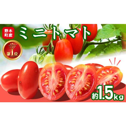 ふるさと納税 トマト ミニトマト 栃木県 野木町 ミニトマト 約1.5kg 1箱 小箱 栃木県 野木町産 矢畑むらづくり組合 [2025年10月上旬-2026年6月下旬頃出荷]栃…