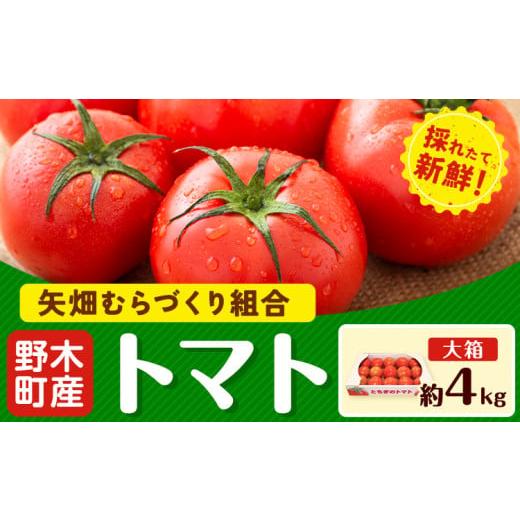 ふるさと納税 野菜類 トマト 栃木県 野木町 先行予約 トマト 約4kg 大箱 栃木県 野木町産 矢畑むらづくり組合 [2025年10月上旬-2026年6月下旬頃出荷]栃木県…