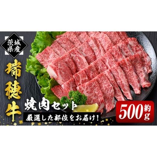 ふるさと納税 牛肉 焼肉・バーベキュー 茨城県 常陸大宮市 瑞穂牛焼肉セット 約500g 牛肉 やきにく バラ 肩ロース 肩 肩バラ トモサンカク イチボ ブランド牛 …