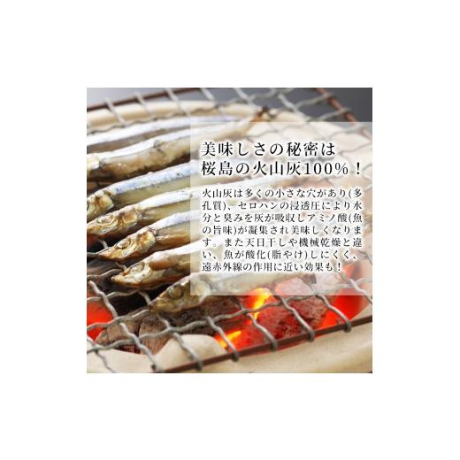 ふるさと納税 干物 鹿児島県 湧水町 y061 高級手作り干物 桜島灰干し詰め合わせ 鹿児島県湧水町産にじますの他、季節のお魚を計20袋お届け 干物 魚 焼き魚 お…_4