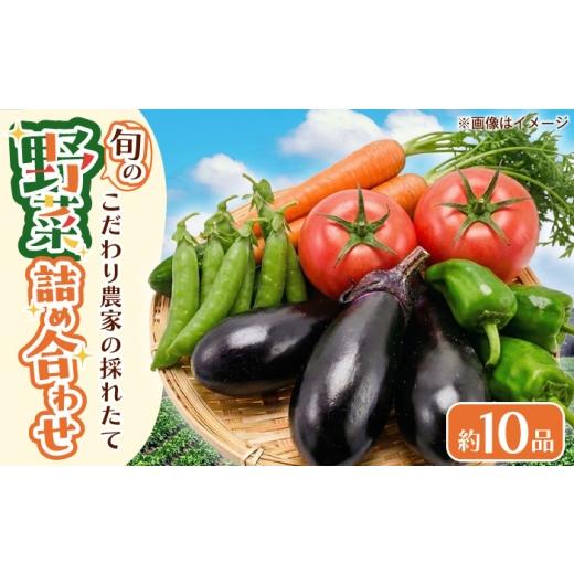 ふるさと納税 セット・詰合せ 大阪府 藤井寺市 野菜 こだわり農家の採れたて野菜セット / 季節野菜 やさい 野菜 ベジタブル ほうれん草 小松菜 白菜 大根 大…